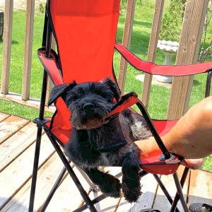 Fundraising Page: Teresa Giesbrecht